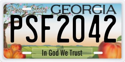 GA license plate PSF2042