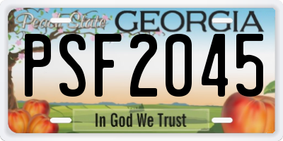 GA license plate PSF2045