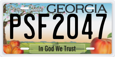 GA license plate PSF2047