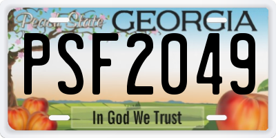 GA license plate PSF2049