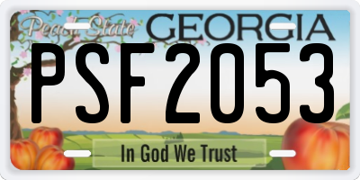 GA license plate PSF2053