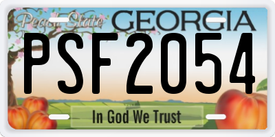 GA license plate PSF2054