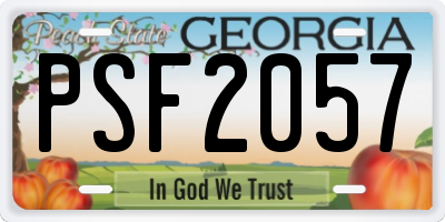 GA license plate PSF2057