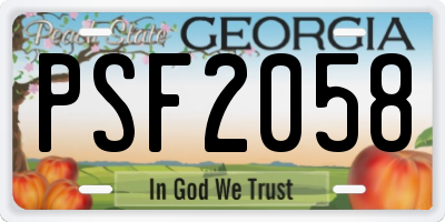 GA license plate PSF2058