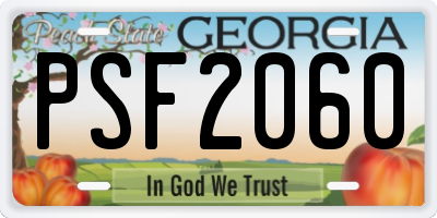 GA license plate PSF2060