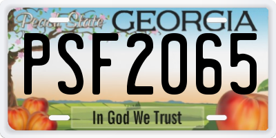 GA license plate PSF2065