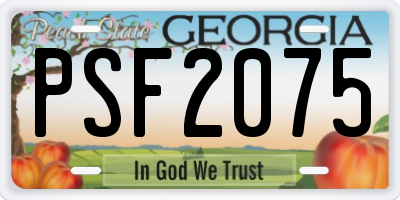 GA license plate PSF2075