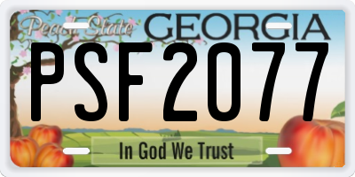 GA license plate PSF2077