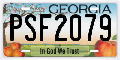 GA license plate PSF2079