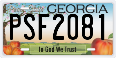 GA license plate PSF2081