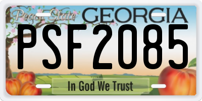 GA license plate PSF2085