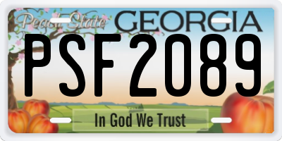 GA license plate PSF2089