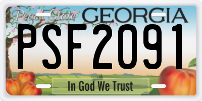 GA license plate PSF2091
