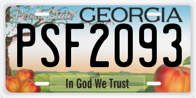GA license plate PSF2093