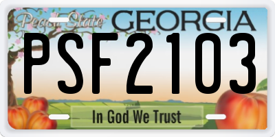 GA license plate PSF2103