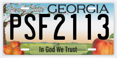 GA license plate PSF2113