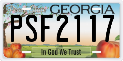 GA license plate PSF2117