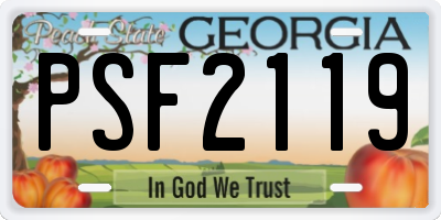 GA license plate PSF2119