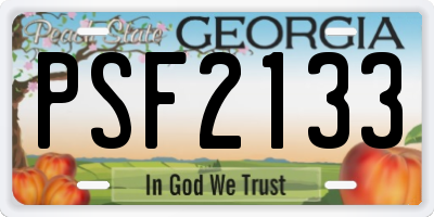 GA license plate PSF2133