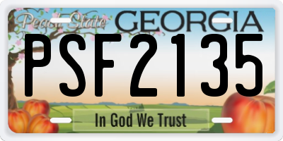 GA license plate PSF2135