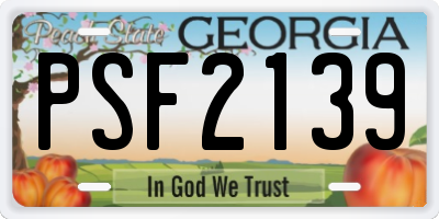 GA license plate PSF2139