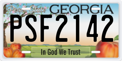 GA license plate PSF2142