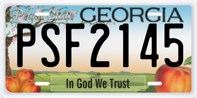 GA license plate PSF2145