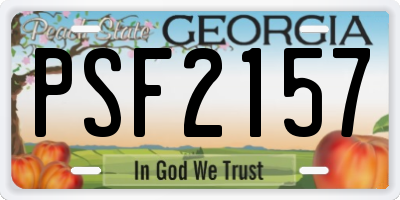 GA license plate PSF2157