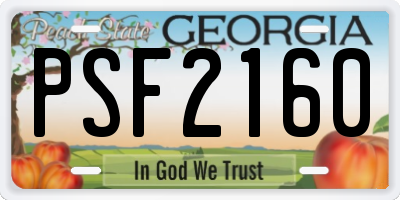 GA license plate PSF2160