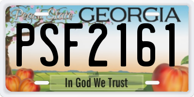GA license plate PSF2161
