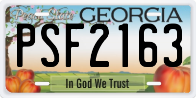 GA license plate PSF2163