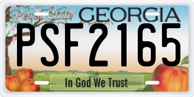 GA license plate PSF2165