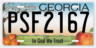 GA license plate PSF2167