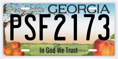 GA license plate PSF2173
