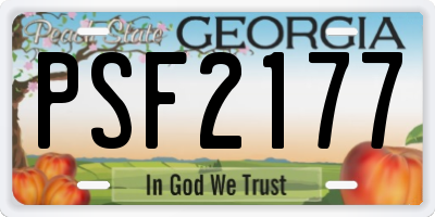 GA license plate PSF2177