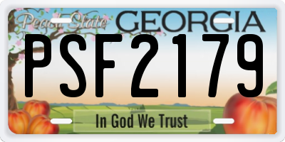 GA license plate PSF2179
