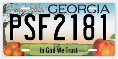 GA license plate PSF2181