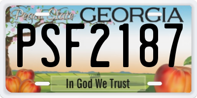 GA license plate PSF2187
