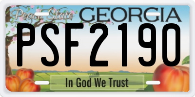 GA license plate PSF2190