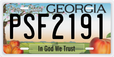 GA license plate PSF2191
