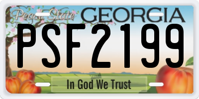 GA license plate PSF2199