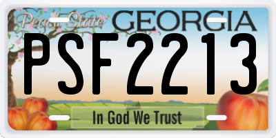 GA license plate PSF2213