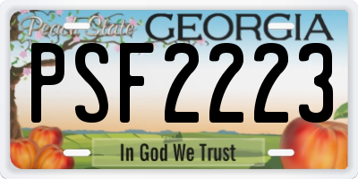 GA license plate PSF2223