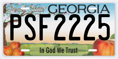 GA license plate PSF2225