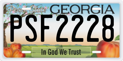 GA license plate PSF2228