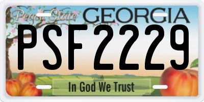 GA license plate PSF2229