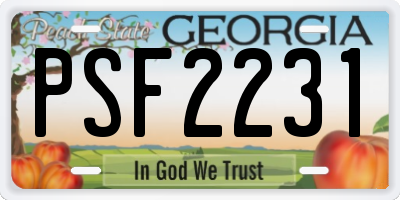 GA license plate PSF2231