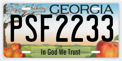 GA license plate PSF2233