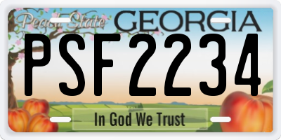 GA license plate PSF2234