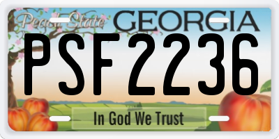 GA license plate PSF2236